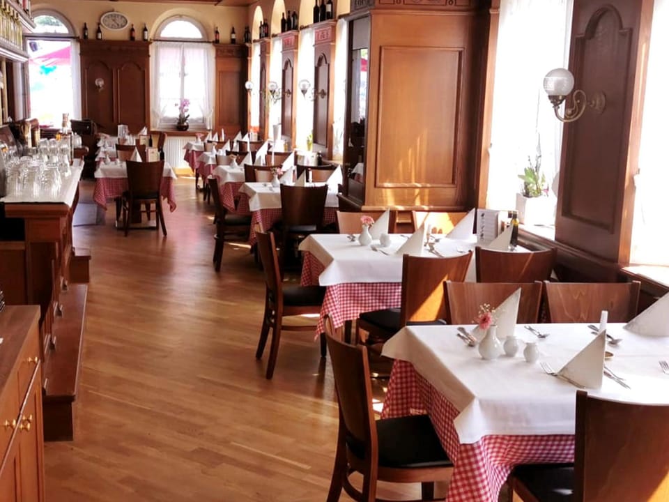 Hotel DREI SCHWANEN - Ristorante Due Fratelli Hotel in Erzgebirgskreis