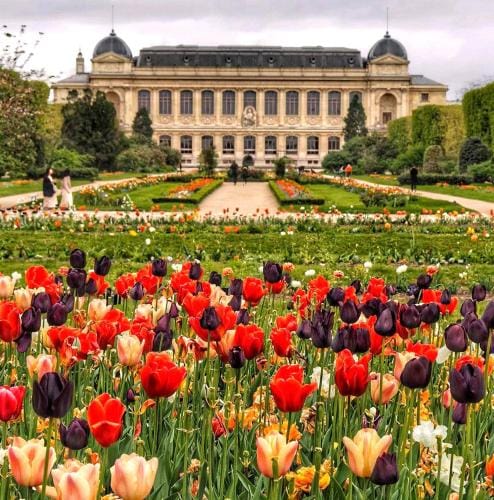 Ecole Militaire Hotel in Paris