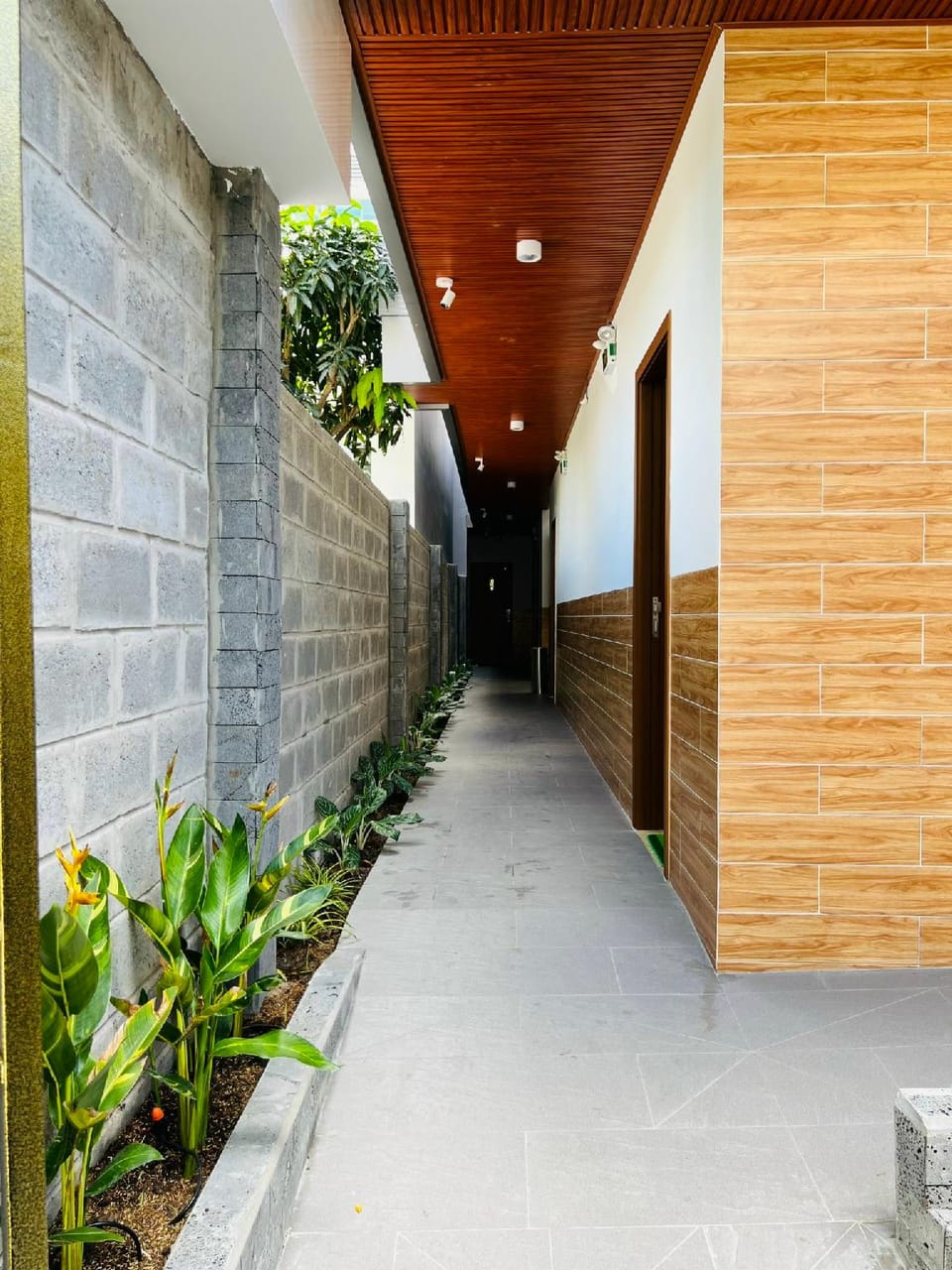 Trúc Xanh Hotel & Apartment Apartment hotel in Cambodia