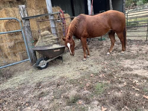 9E Ranch Bastrop Lodge in Rio Grande