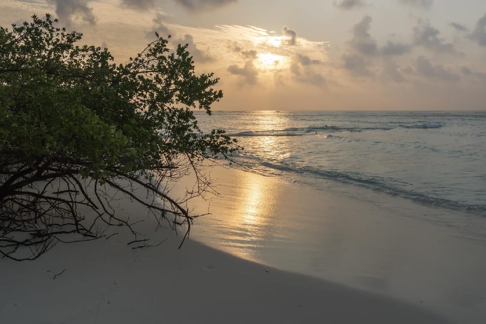 Brickwood Shoreline  Bed and Breakfast in Maldives
