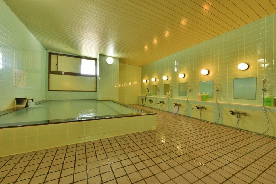 Hotel Chalet Ryuo Hotel in Shimotakai District