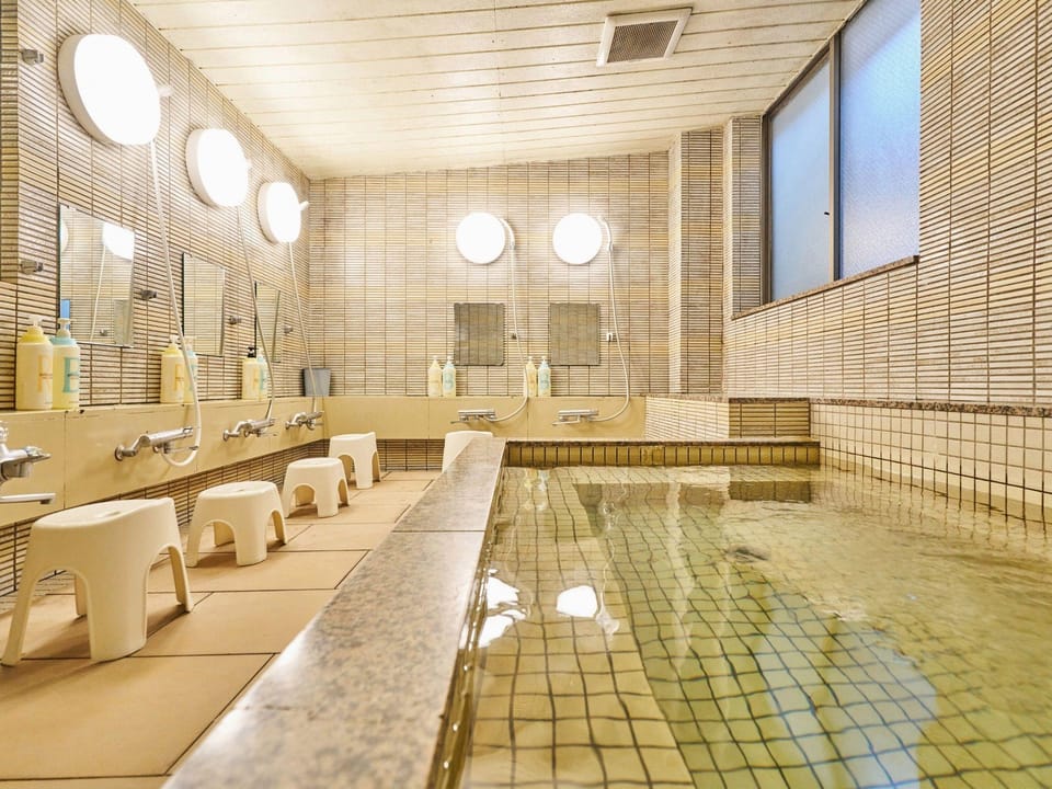 Hotel Fukui Castle Hotel in Japan
