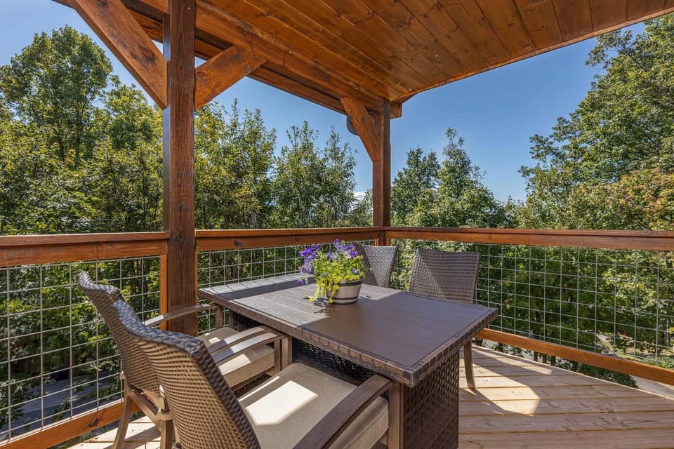 Lux Cabin Mtn Views Flat Parking Dog Friendly Hotel in Pittman Center