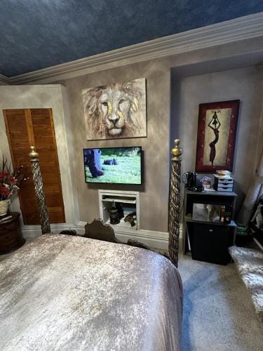 Enjoy An African Adventure In The Heart Of Swansea Hotel in Swansea