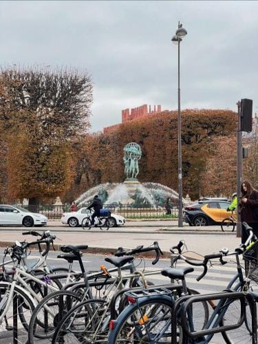 Haussmannian Hotel in Paris