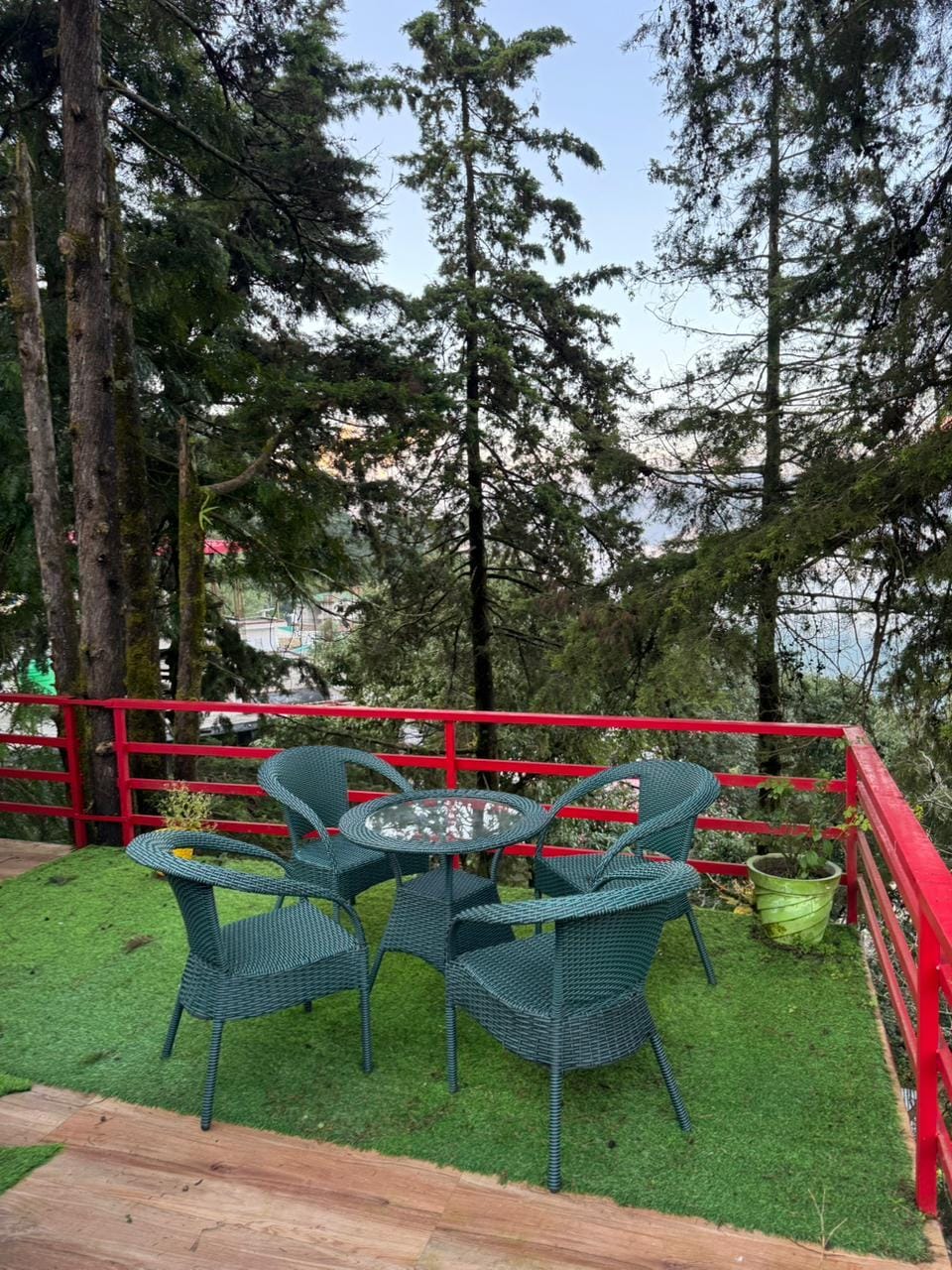 View