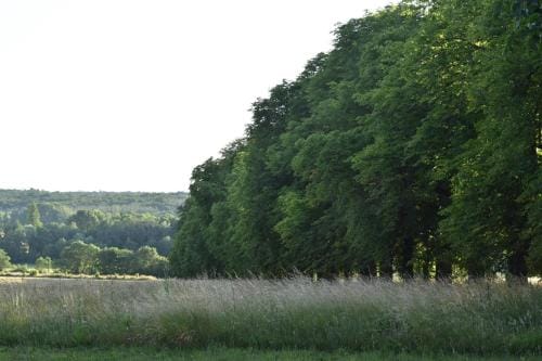 Chateau de Chavigny Hotel in Centre-Val de Loire