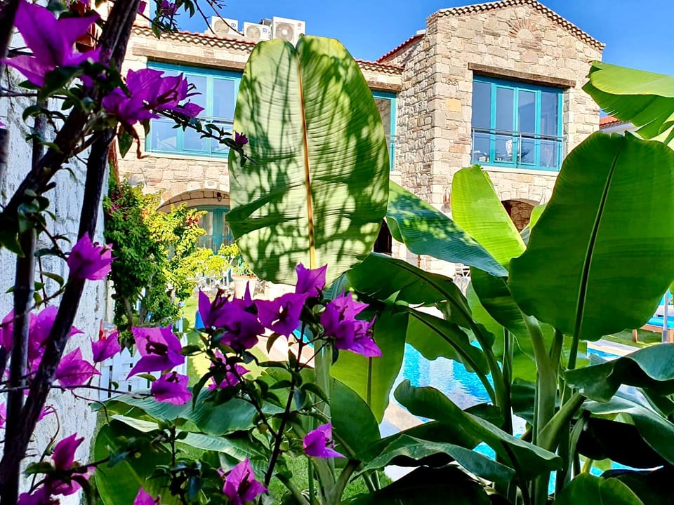 Windmill Alaçatı Bed and Breakfast in Alaçatı