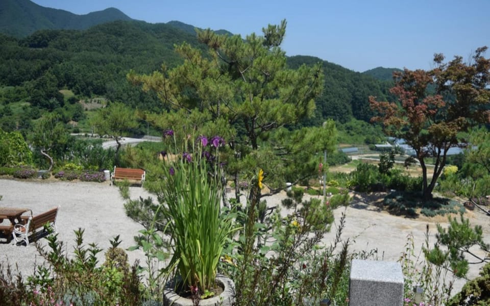 Gimcheon Hansol Hanok Stay Hotel in South Korea