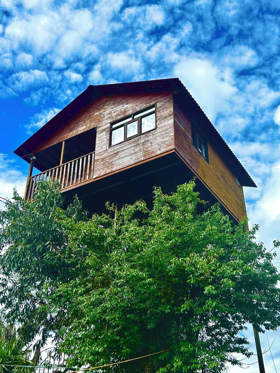 Casita Del Arbol Trini By GEstores Hotel in Hidalgo, Mexico