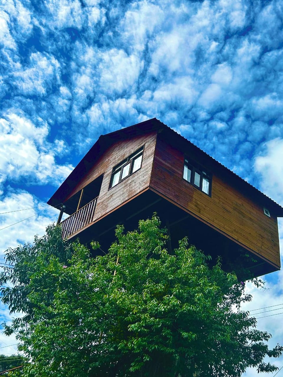 Casita Del Arbol Trini By GEstores Hotel in Hidalgo, Mexico