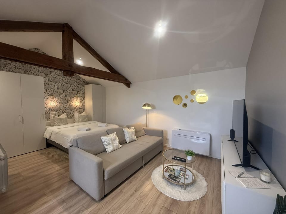 Petite Merveille sous les toits Hotel in Dijon