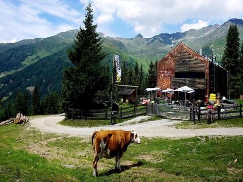 Apartment in Tyrol near Ski Slopes Hotel in Tyrol