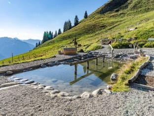 Apartment 20 m from the KitzSki ski lift Hotel in Salzburgerland