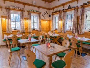 Apartment Ausseerland near Ski Slopes Hotel in Bad Aussee