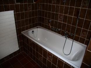 Family apartment with terrace Hotel in Nendaz