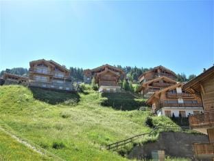 Flat in Veysonnaz with Ski-inSki-out Access Hotel in Nendaz