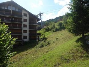 Amazing apartment with terrace Hotel in Nendaz