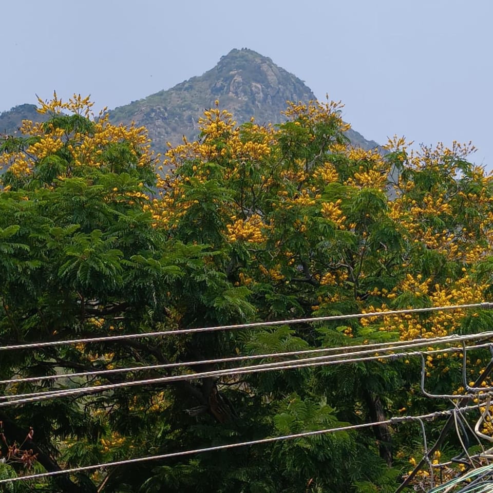 Vimala Residency Hotel in Tamil Nadu