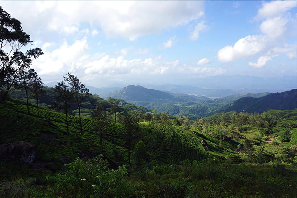 Wild Glamping Hotel in Central Province