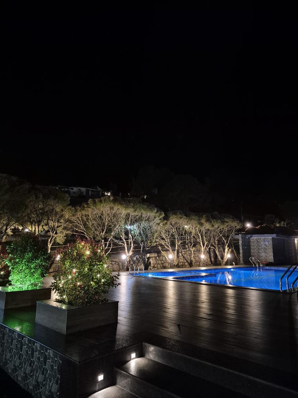 Swimming pool [outdoor]
