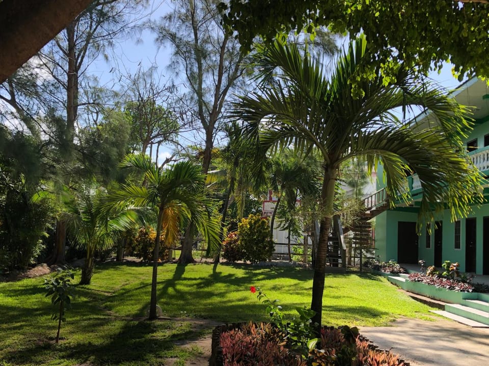 Surrounding environment