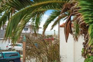 Coast PalmTree Yard 2BR Block from Beach Hotel in Pacifica