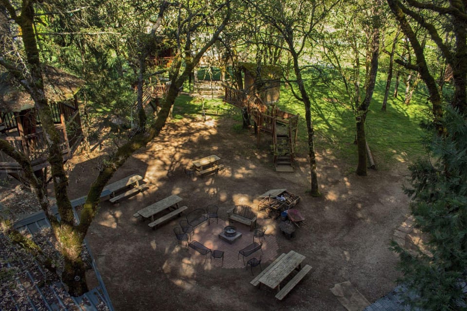 Out 'N' About Treehouse Treesort Hotel in Oregon