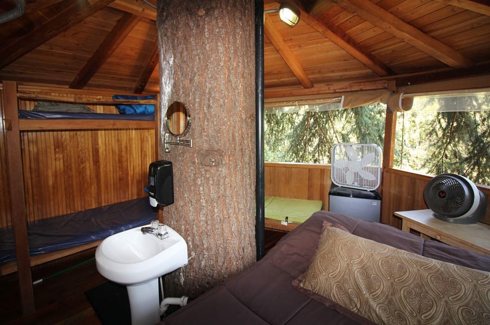 Out 'N' About Treehouse Treesort Hotel in Oregon
