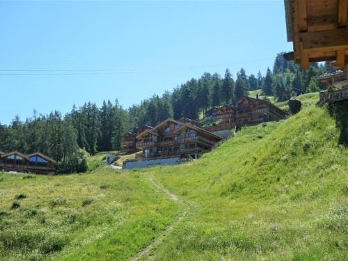 bedroom apartment in Veysonnaz Hotel in Nendaz