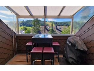 Maisonette-Traum mit Dachterrasse und Panorama Hotel in Willingen
