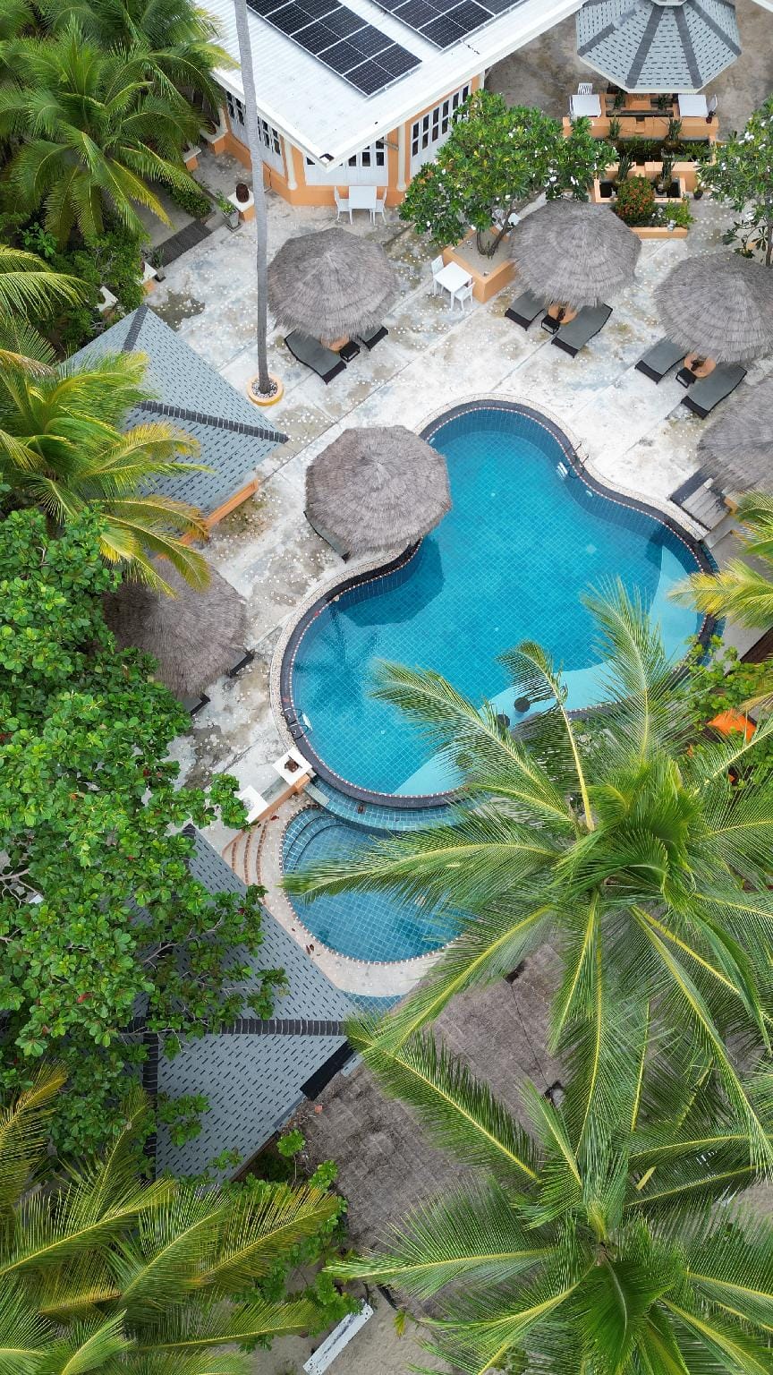 Swimming pool [outdoor]