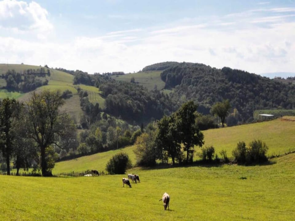 House 5 People Hotel in Auvergne-Rhône-Alpes