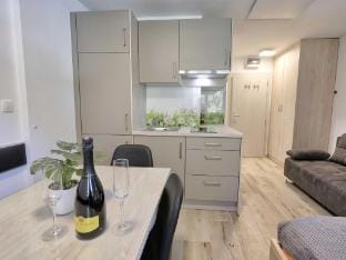Cozy and Chic Apartment in Kranjska Gora - Studio Apartment Hotel in Friuli-Venezia Giulia