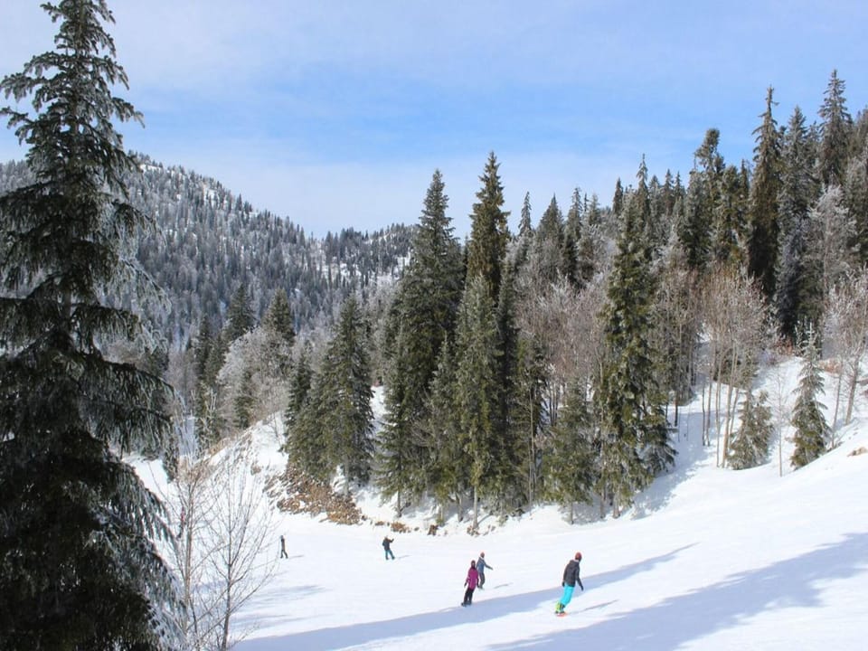 Vercors Autrans Rental with two rooms Hotel in Auvergne-Rhône-Alpes
