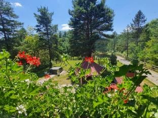 Apartments Plitvice forest - Two Bedroom Apartment with Terrace Hotel in Plitvice Lakes Park