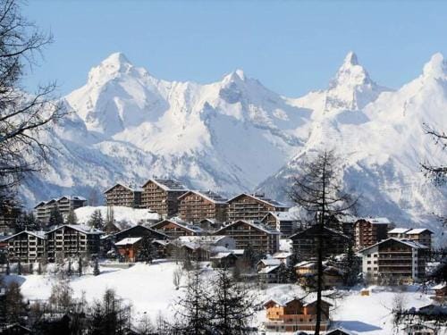 Flat in Nendaz with Ski-InSki-Out Access Hotel in Nendaz