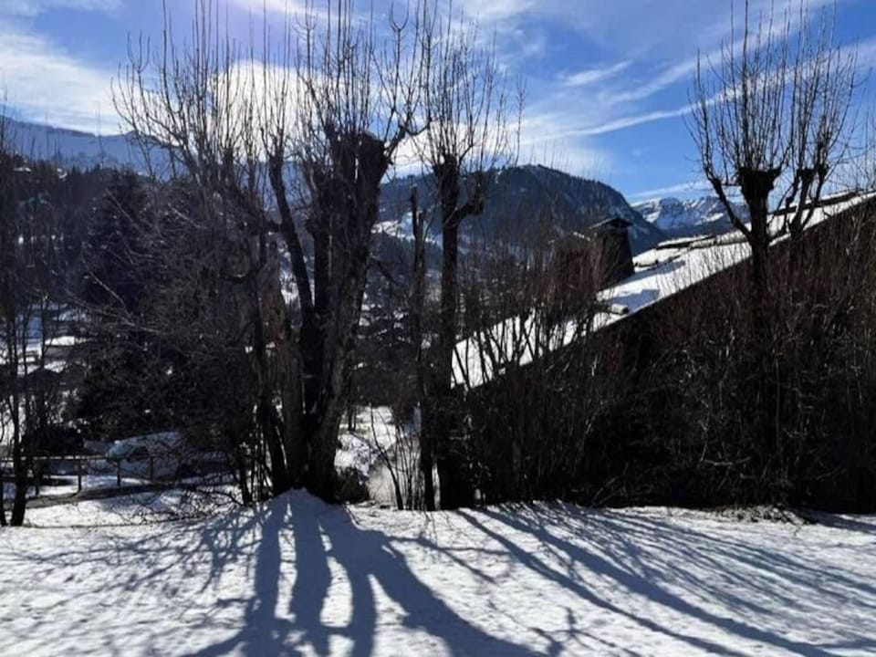 Studio for 3 People Hotel in Combloux