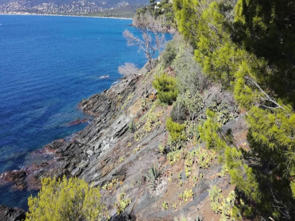 Room 4 People Hotel in Cavalaire-sur-Mer