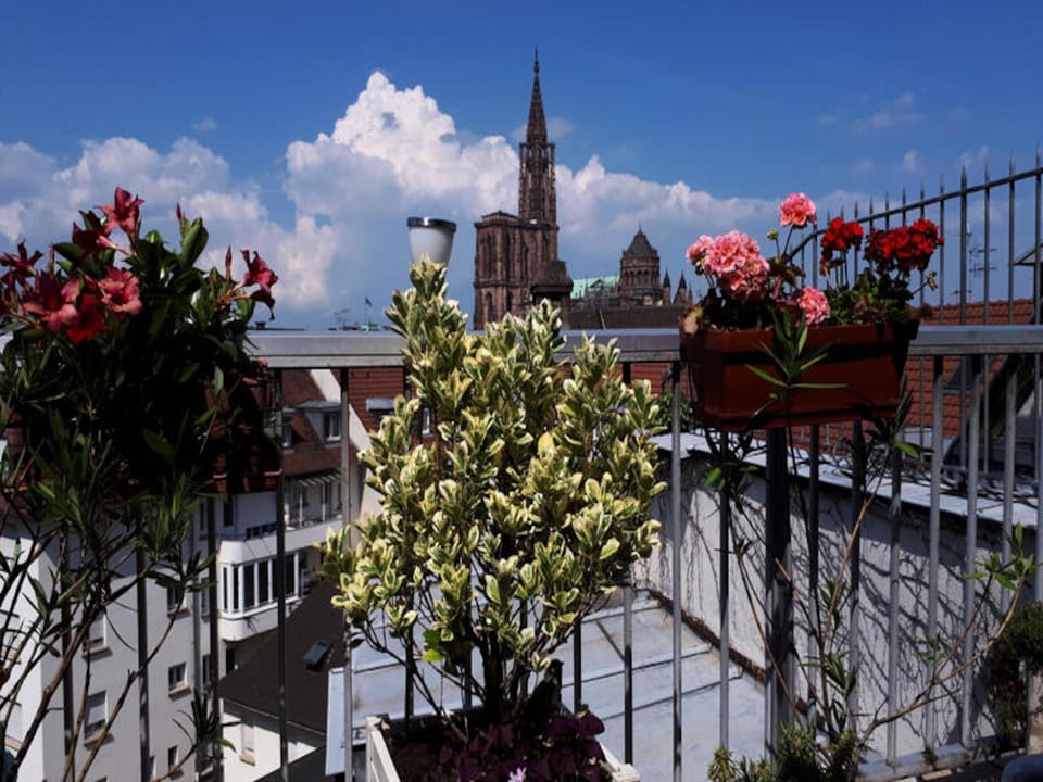 emilie 145m2 ac 1 free parking 4br 2bth Apartment in Strasbourg