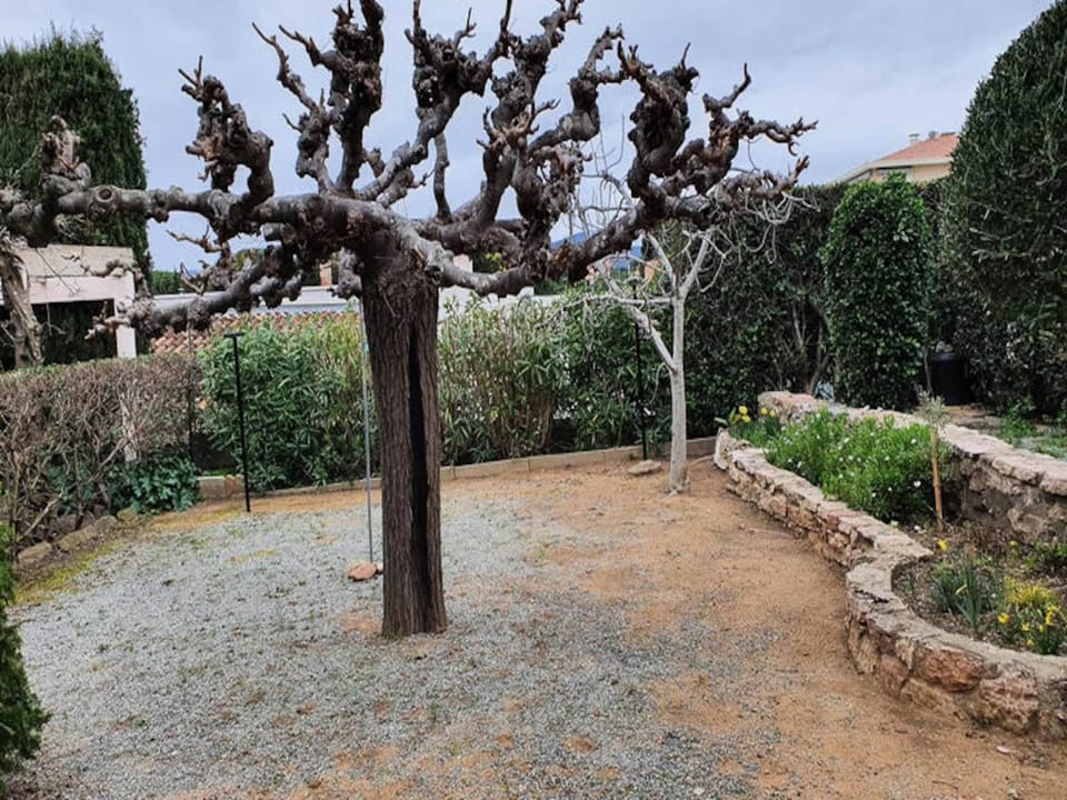Rooms 4 People Hotel in Roquebrune-sur-Argens