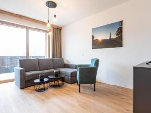 Apartment near the ski slope in Mittersill Hotel in Salzburgerland