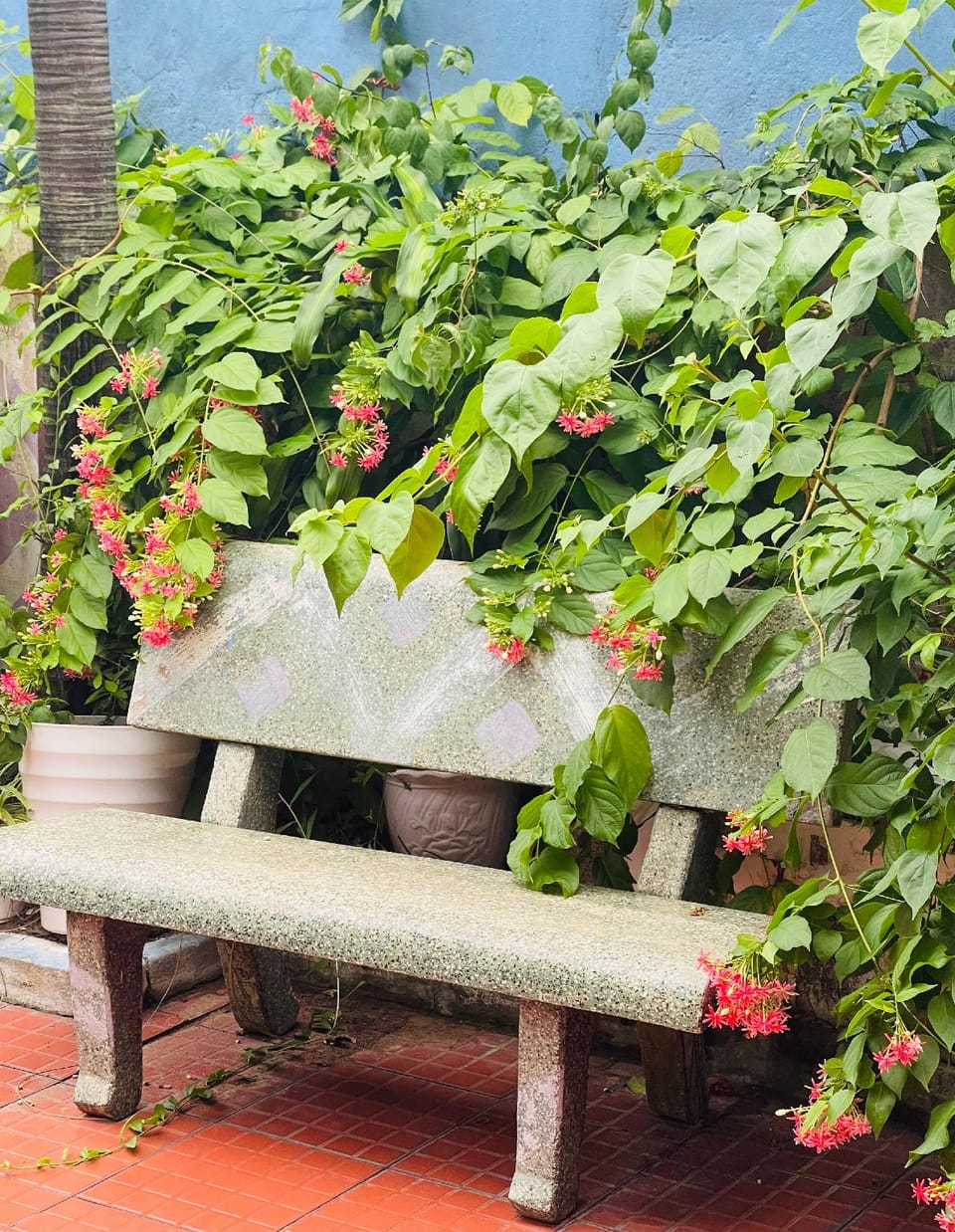 Riverview homestay Hotel in Laos