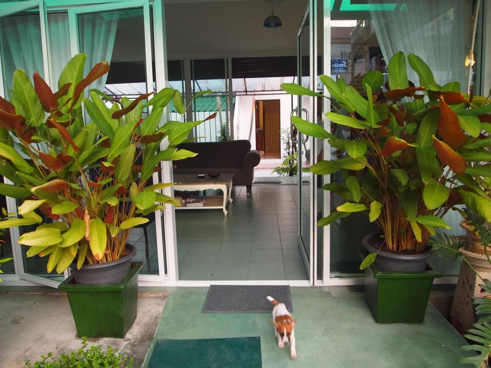 Entrance