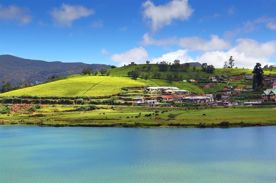 Lotus View Home Bed and Breakfast in Nuwara Eliya