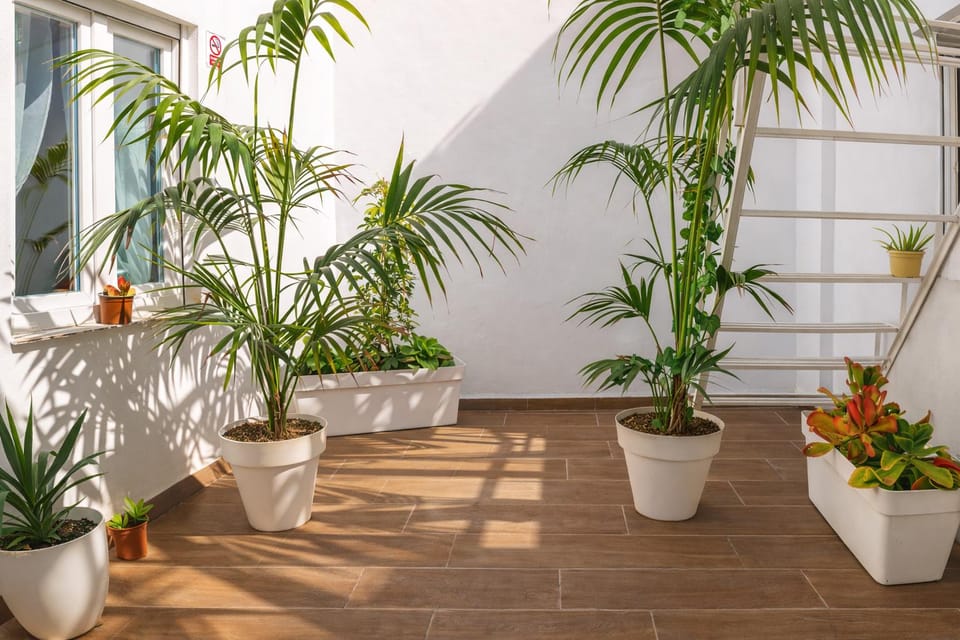 Balcony/terrace