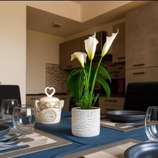 Charming Avezzano Apartment for Family Getaways Hotel in Abruzzo