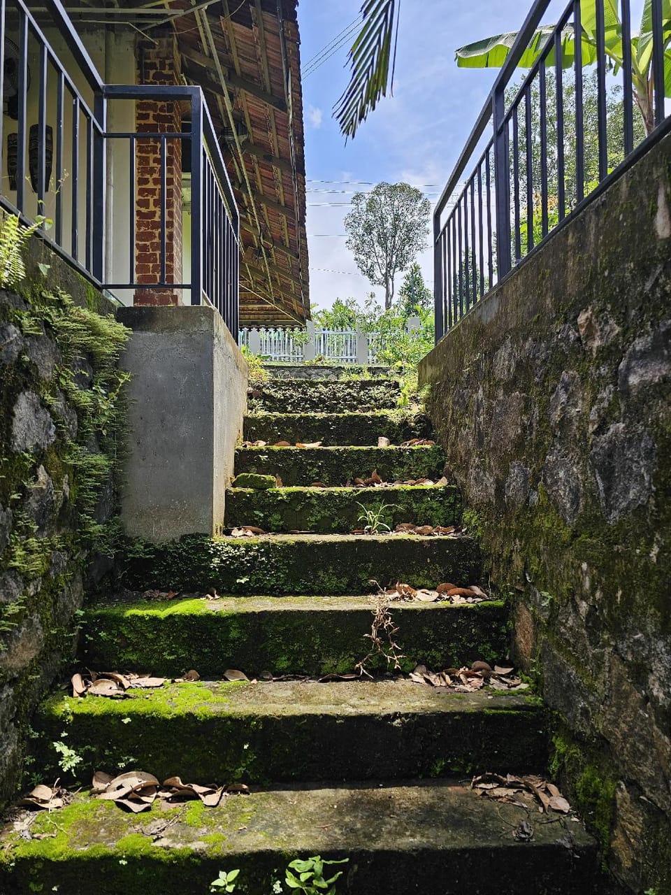 Thomaskuttys Homestay Resort in Kerala