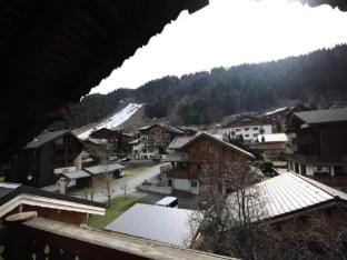 Chalet Les Triolets Hotel in Montriond